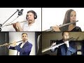 Hallelujah  cover by trevor james flute artists