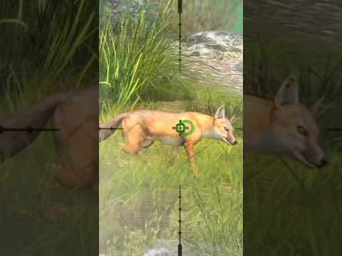 Hunting Swift Fox #viral #youtubeshorts #shorts #huntingclash