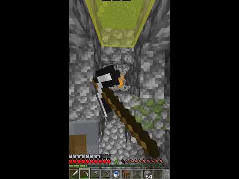Minecraft Secret Chest Shorts