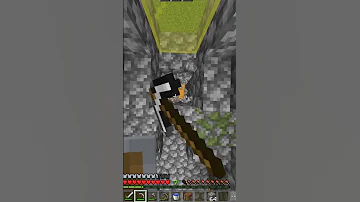 Minecraft Secret Chest Shorts Minecraft 
