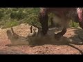 Turf Battle | Allosaurus vs. Torvosaurus