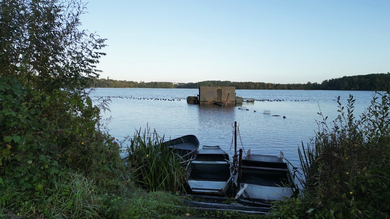Huttes de chasse sur l'étang de Chabaud Latour (Hauts-de-France)