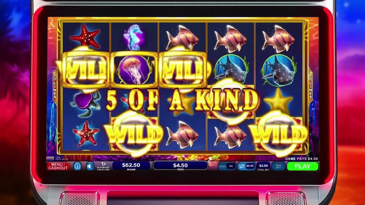 Big Wins with Ocean Magic | IGT Casino Game