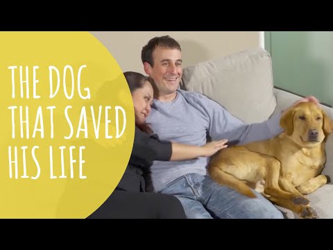 Video: Pateicoties Jūsu pirkumiem, šim veterānam ir dienesta suns, kas palīdz Viņam dzīvot normālā dzīvē