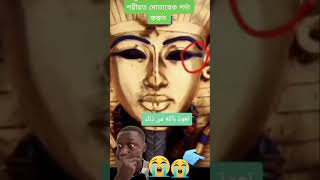 মানুষ দেখানু পর্দা নয়  shortvideos viralshort virals