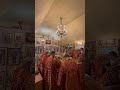 8 декабря 2024 г.