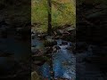 #harzerwandernadel  #harzliebe  #harzmountains  #wandernindeutschland #hikingadventures