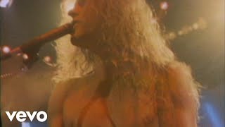 Video thumbnail of "Ted Nugent - Scream Dream"