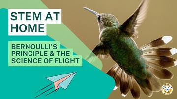 Bernoulli