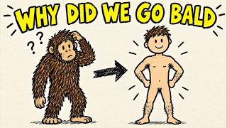 Why Did Humans Lose Their Body Hair ?
