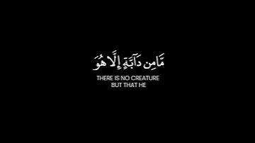 إني توكلت على الله ربي وربكم شاشة سوداء ~ #سورة_هود بصوت الشيخ #ماهر_المعيقلي
