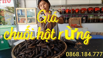 Chuối Hột Rừng - Cập nhật giá tháng 8