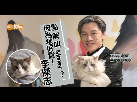 【寵物專訪】李傑志愛貓被評世界級靚仔