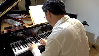 ユーゲントアルバム（子どものためのアルバム） 従者ループレヒト（サンタクロース） - 演奏動画のサムネイル