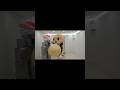 Jumping with turtles#shorts #funny