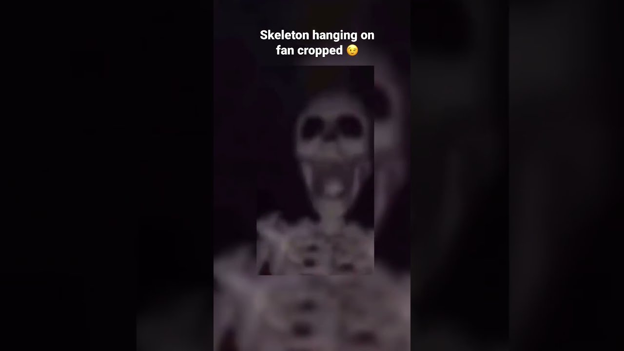 Skeleton