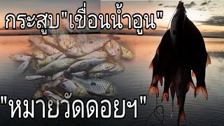 #ลุยน้ำตกกระสูบเขื่อนน้ำอูน 2/12/2023 #ตกปลากระสูบ #กระสูบเขื่อนน้ำอูน #ซิงกิ้งป๋าหนวด #hampala