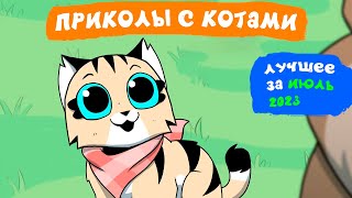 Приколы с котами. ЛУЧШЕЕ ЗА ИЮЛЬ 2023 | Мемозг