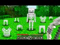 Minecraft BUT Skeletons Now Drop Their Armor...