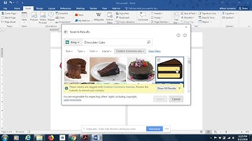 Insert Tab on Microsoft Word 2016 - Part 1
