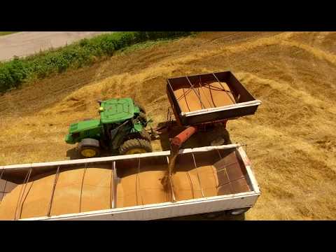 Summer Wheat Harvest