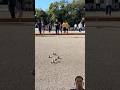 🔥 NATIONAL DE CANNES – 1ere partie de poule | Cannes National Tournament  #pétanque #petanque2022