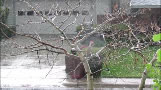 MASSIVE HAIL - Cheyenne Wyoming - 27 June 2017 - 1600 skip to 4:00 for the real Carnage