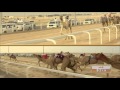 الشوط الثاني من ختام سباق الهجن على سيف سمو أمير البلاد المفدى 