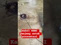kabel HDMI serabut #viralvideo #djremi #shortvideo #shortvideo #youtubeshopping #youtubeshorts #fypシ