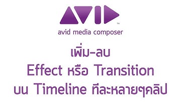 เพิ่ม ลบ Effect หรือ Transition บน Timeline ทีละหลายๆคลิป