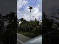 சக்கரே[the place] #nature #stressbuster #song #sakkara #kerala #sivakarthikeyan #saipallavi