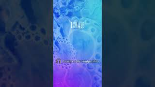 🎶 Full Track Available in my Pacifier 👉 https://tihana.net/soulpacifica #harp