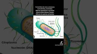 #bacteria #biology #prokaryote #science