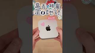 맥 미니 M4, 요즘 핫한 가성비 데스크탑?!!