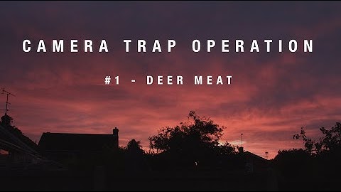 BCOB: Camera Trap Operation #1 - Deer Meat