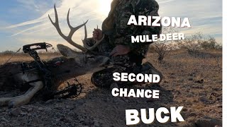 "Persistence Pays Off" | Second Chance at AZ Desert Mule Deer Buck
