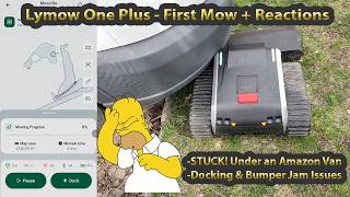 Lymow One Plus -Navigate/Mow Its First Lawn -Will It Avoid Obstacles?!