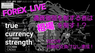 LIVE FOREX true currency strength 20230731 Tokyo~London session 通貨強弱ライブ配信