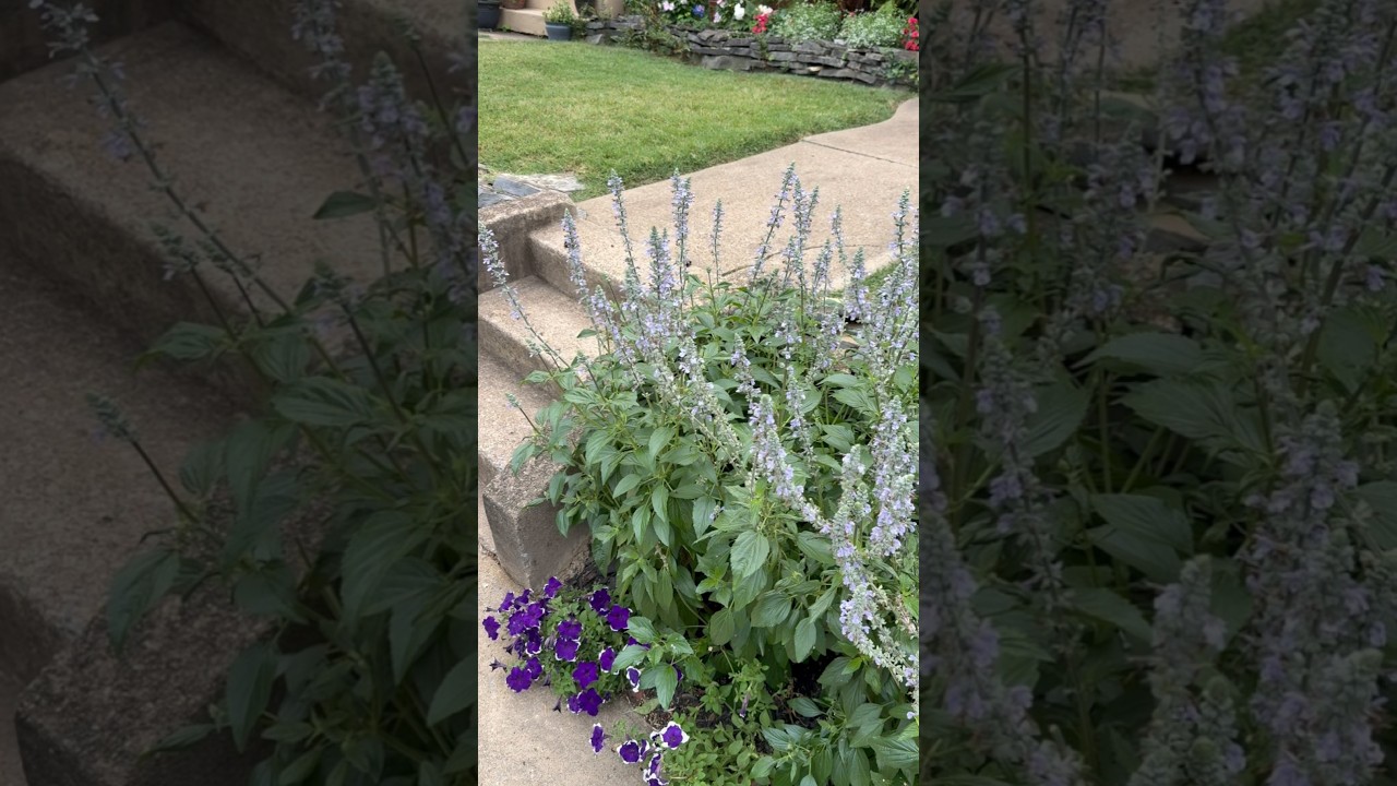 I Love Seeing Pollinator Friendly Gardens