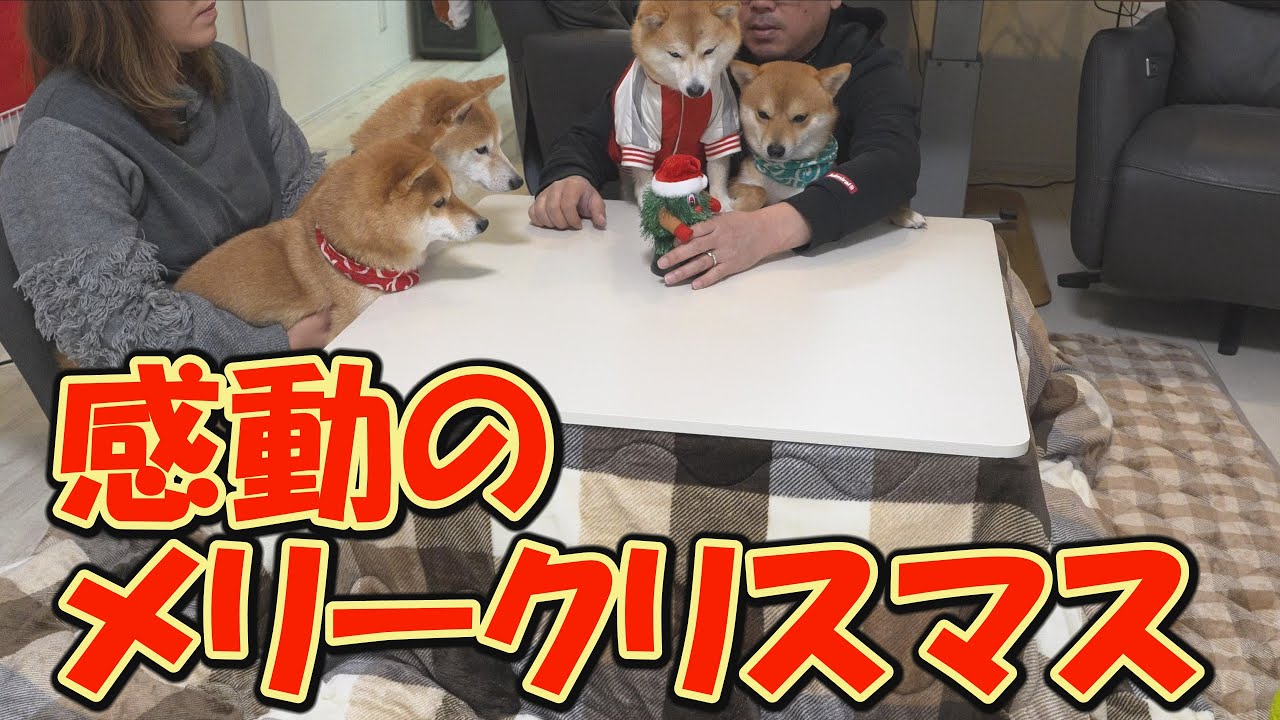 手作り料理を与えることができないクリスマスは、一生忘れられない一日になりました。