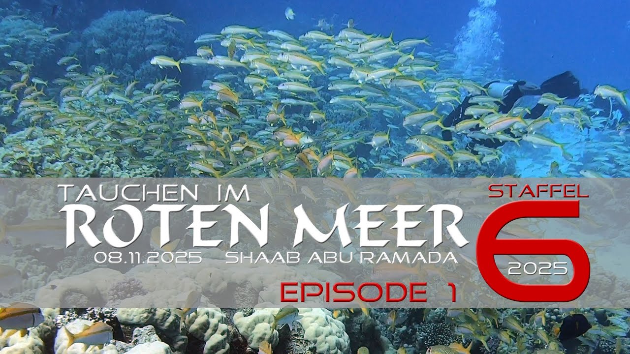 Shaab Abu Ramada : Tauchen im Roten Meer - Staffel 6 - Episode 1 :  2025 : Abu Scharara