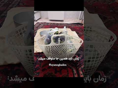 زمان باید همینجا متوقف میشد