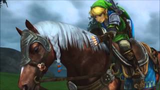 Hyrule Warriors Link Victory Animations