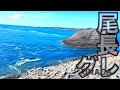 【玄界灘のスーパー離島】尾長グレと真っ向勝負!!漢は黙って2号竿!!