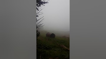 سورة الجمعة بصوت الشيخ أحمد خضر الطرابلسي
