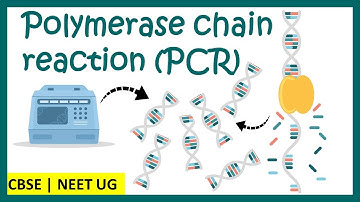 Polymerase Chain Reaction (PCR) in 10 minutes | PCR reaction| NEET Biology | CBSE biology