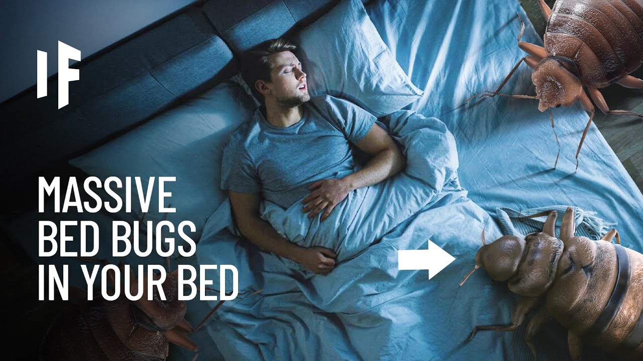 What If Bed Bugs Were the Size of Humans?