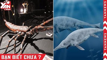 10 Quái Vật Đáng Sợ Nhất Thời Tiền Sử Đã Bị Tuyệt Chủng