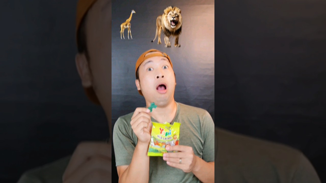 Aneka Binatang Yupi Safari🦒 