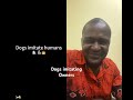 #funny #pets #cutedog #usa